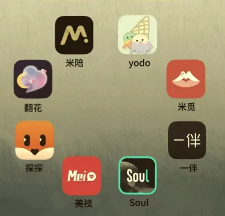 社交软件玩法大全：Soul/陌陌/探探/世纪佳缘/MarryU/Tinder/她说/积木全平台实战教程