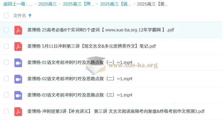 姜博洋2025高三高考语文冲刺班课程资料合集