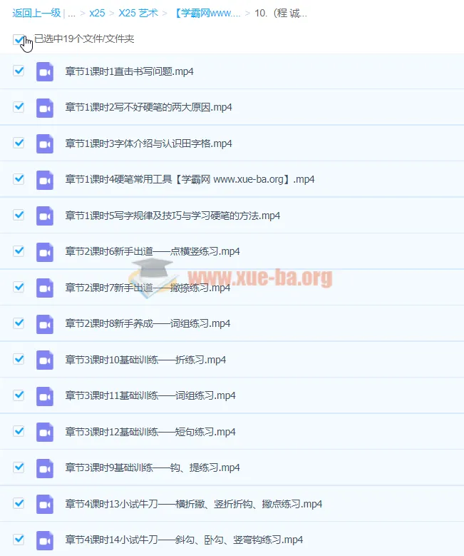程诚《14天硬笔楷书基本功》19集完整版 硬笔书法系统训练课程