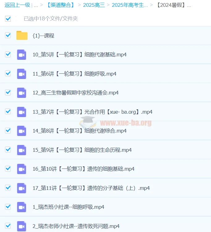 2024暑假高考生物一轮复习系统1期课程