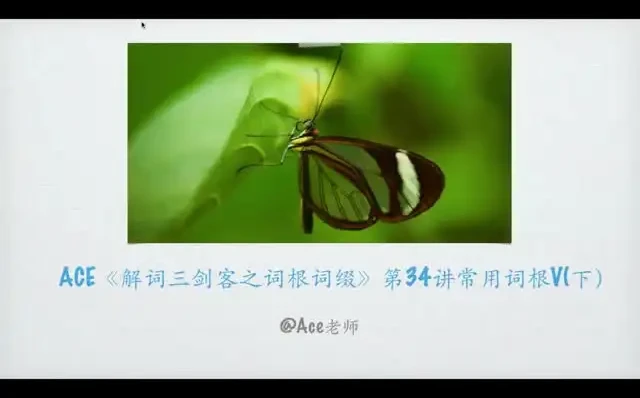 267个核心词根系统精讲:英语单词速记完整课程