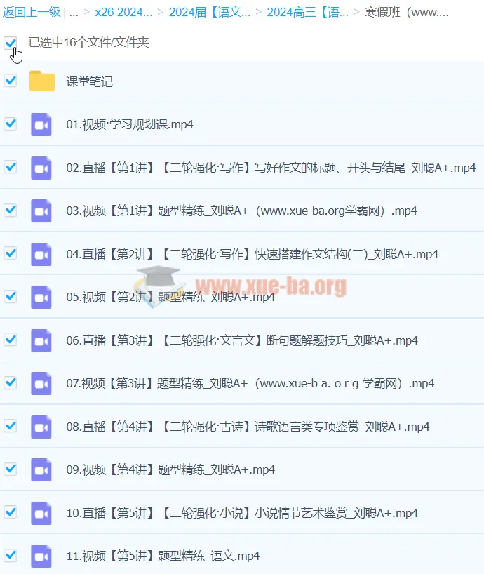 2024高三高考语文 刘聪A+寒假班 二轮强化专项训练