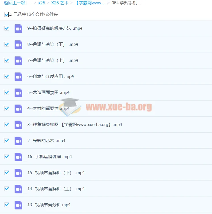 李辉手机视频拍摄美学课：零基础入门，一部手机完成专业级视频创作