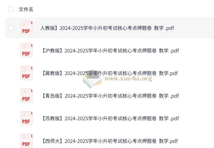 2025学年小升初核心考点押题卷（数学多版本合集）