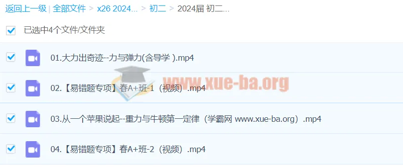 2024初二物理何勇A+寒假班(春上)系统课程