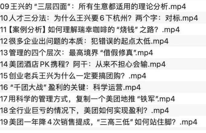 美团制胜秘籍：王兴商业决策与组织管理深度复盘