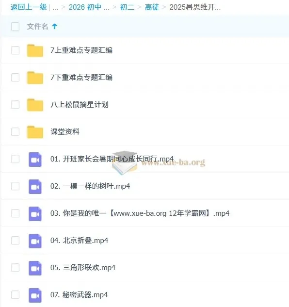 初中数学2025暑思维开发8阶1期课程资料合集