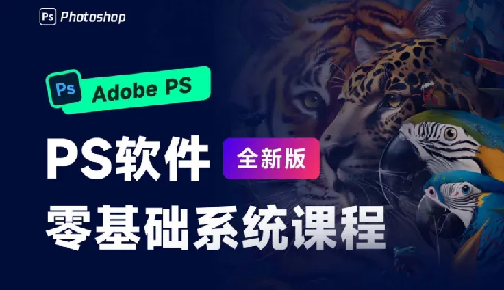 PS零基础设计班系统视频课程(30节录播课)