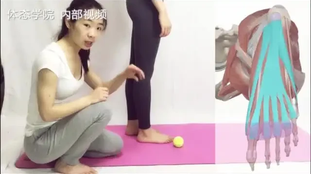 四阶段高级体态训练:定制课程全面改善体态