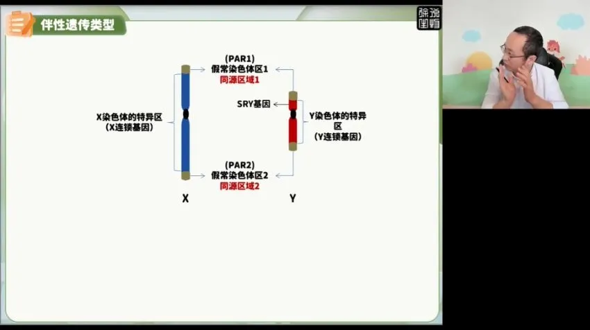 2024高三生物押题班·徐京精讲:核心考点与高考冲刺全攻略