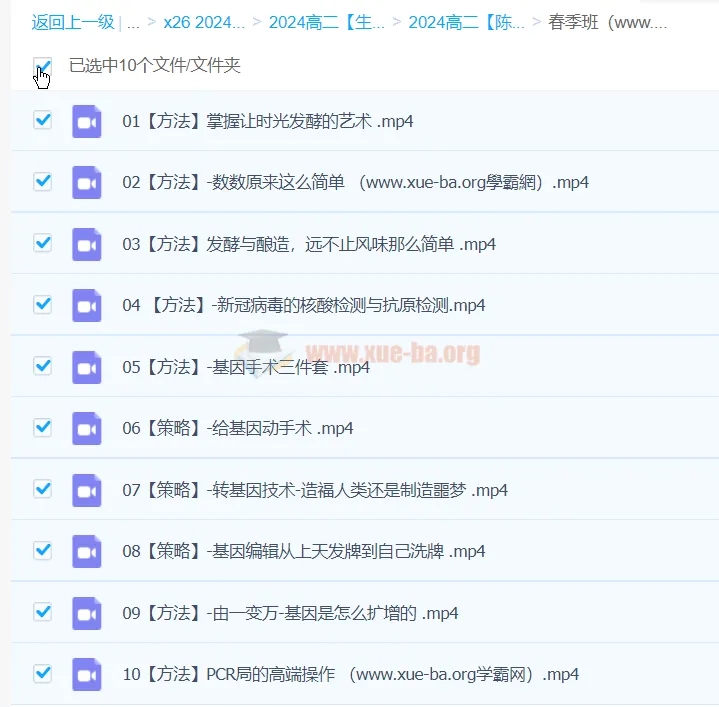 2024高二生物 陈旭晨 春季班(下学期)课程合集