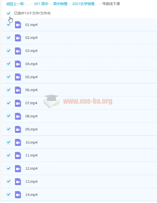 2021高考物理李玮玮哥线下课精讲合集