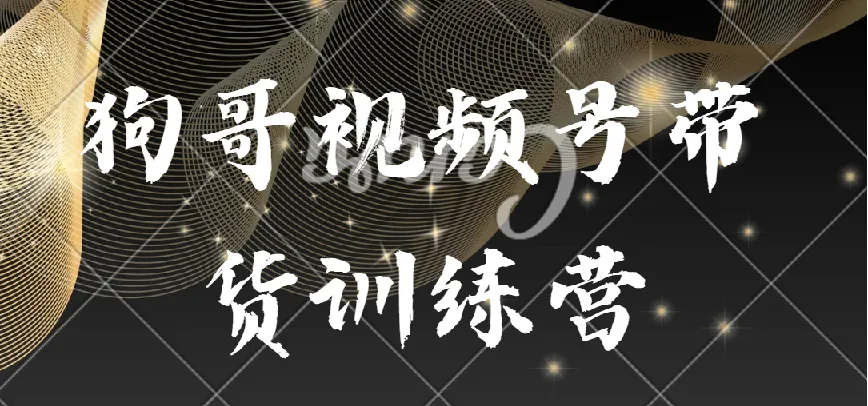 狗哥视频号带货训练营:从选品到实操的系统课程