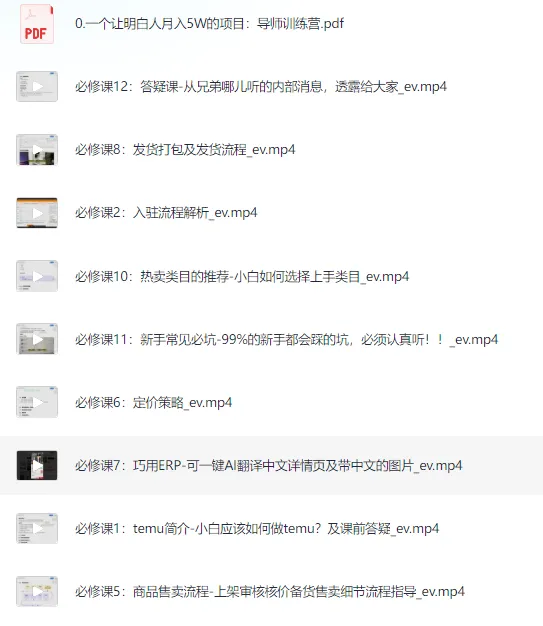 海外版拼多多Temu从零到一实践课,入驻到运营全流程系统教程