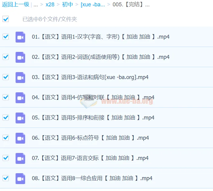 2024中考语文语言文字运用一本通（完结）系统课程