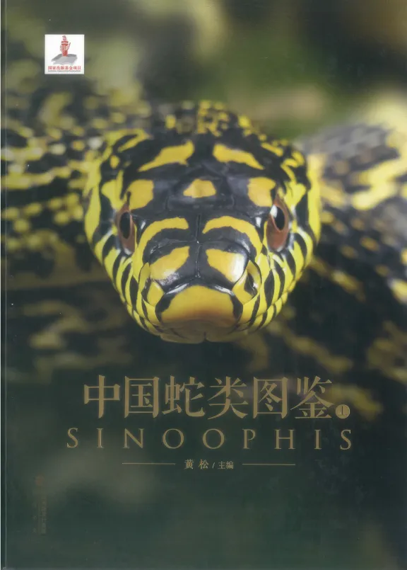 中国蛇类图鉴上下册:245种野生蛇类全收录,鳞片特征与生态影像完整呈现