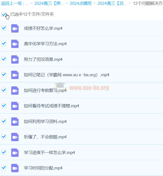 吕子正化学2024高三高考化学押题点睛班 选择题满分攻略+大题解题攻略+30天打卡