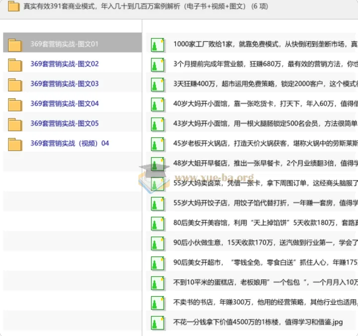 391套真实商业模式案例合集,从年入几十万到几百万的实战解析(电子书+视频+图文)