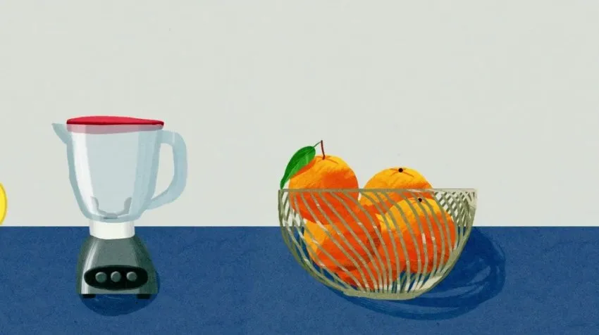 白泽科普动画100集全 儿童科学启蒙动画合集