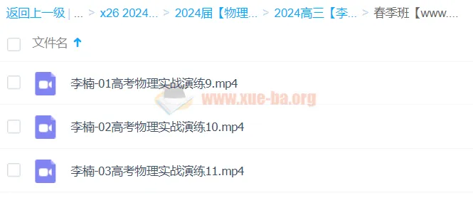 2024高三高考物理 李楠物理 二轮精讲春季班