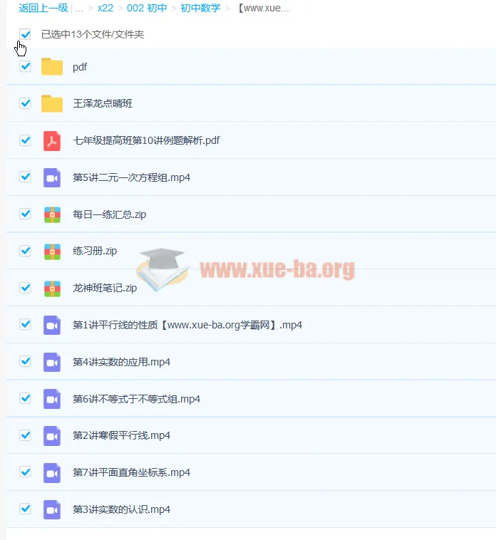 王泽龙初一寒假数学系统班7讲全解析 含讲义与期末点睛班