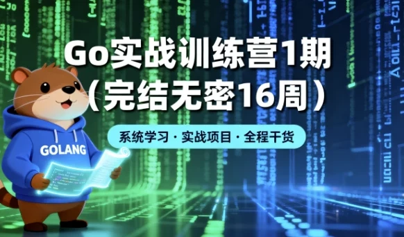 Go实战训练营1期(16周完结)大厂能力模型构建Go高手
