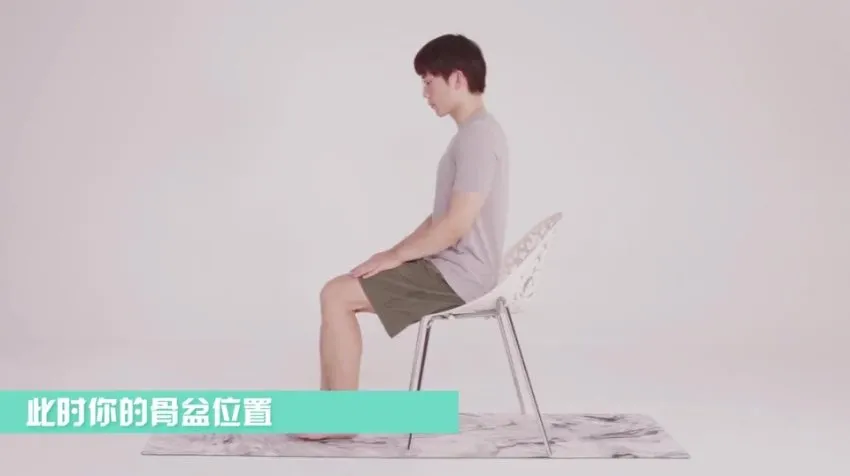叔贵肩颈马甲线减脂训练课程 体态重塑与高效燃脂一站式跟练