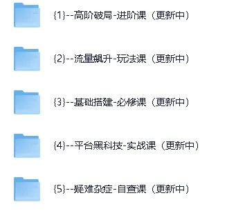 拼多多全阶实战课程:从新手到运营高手的系统进阶指南