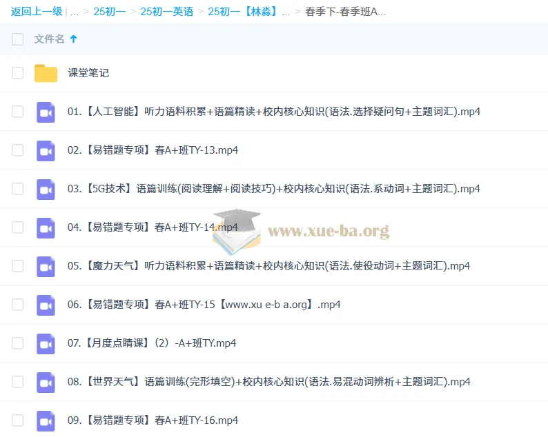 2024-2025初一英语林淼A+秋季班寒假班春季班全阶段课程