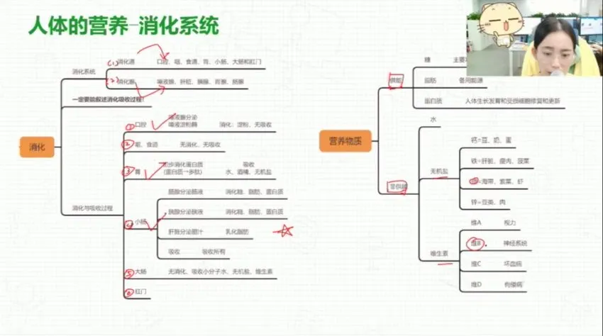 初一生物春季系统课程:人体八大系统精讲与期末备考资料包