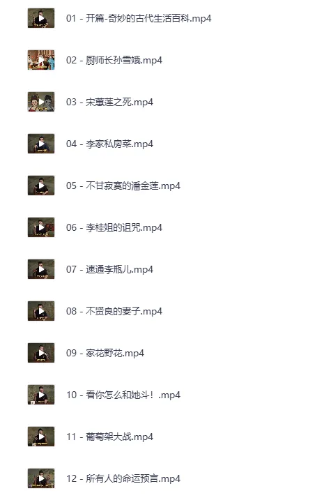 B站充电专属:吸奇侠《金瓶梅》系列深度解说合集
