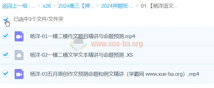 杨洋语文2024高三高考语文押题冲刺护航班