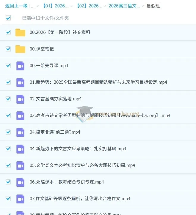 2026高三高考语文 国家玮一轮暑假班(一阶段)全套课程