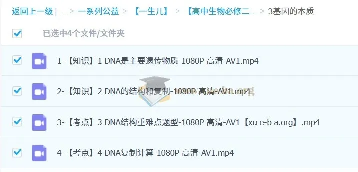 一生儿高中生物必修二：遗传与进化全考点精讲视频课