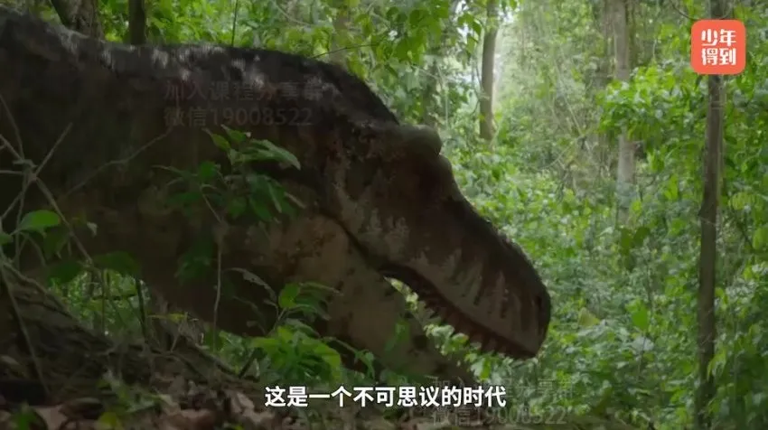 探秘恐龙世界:古生物学习指南