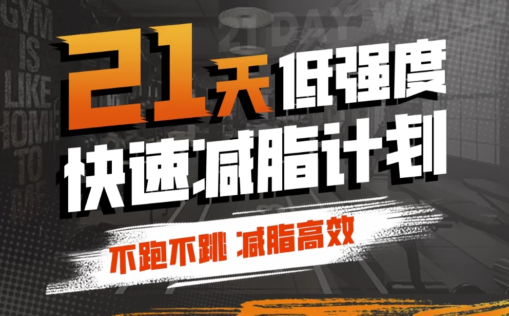 猫叔21天低强度无跑跳高效减脂计划，居家跟练膝盖友好