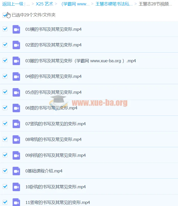王慧志硬笔书法私房课100节合集:从笔画基础到结构进阶的系统练字指南