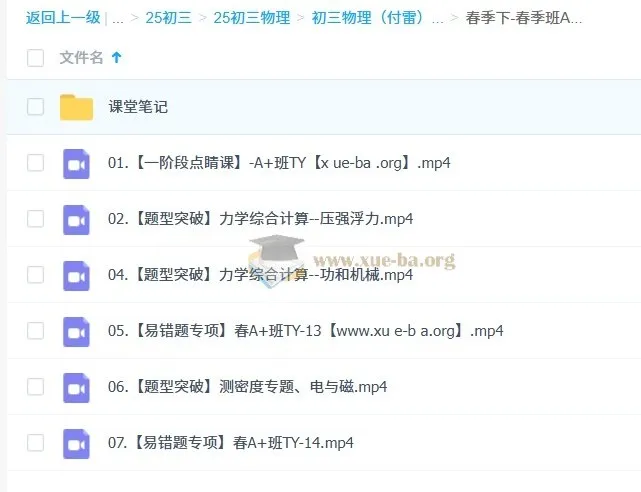 初三中考物理付雷2024-2025学年A+班全套课程（秋季上/下+寒假+春季）