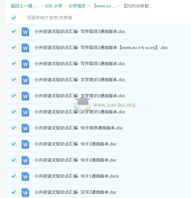 2025小升初语文总复习专项知识点46套Word文档合集
