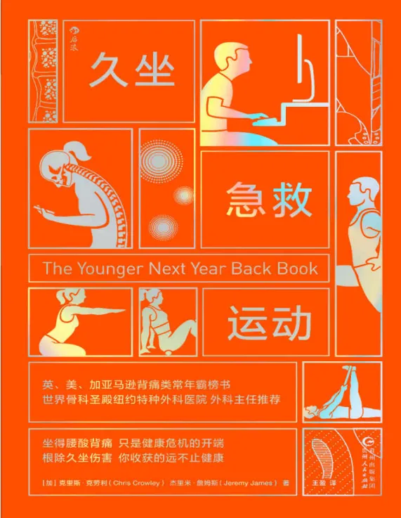 久坐急救运动:每天半小时,科学摆脱背痛困扰