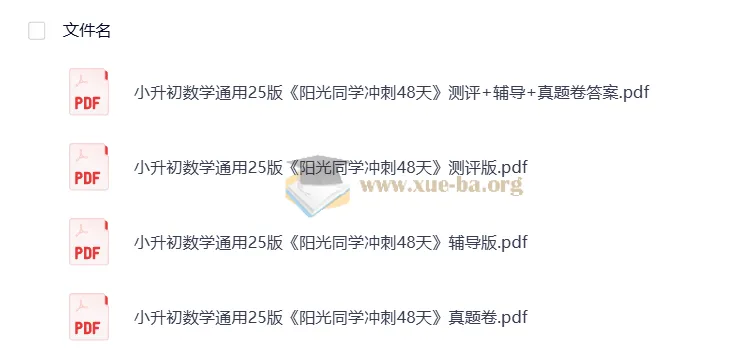 2025版小升初《阳光同学冲刺48天》小学数学 测评+辅导+真题卷全套