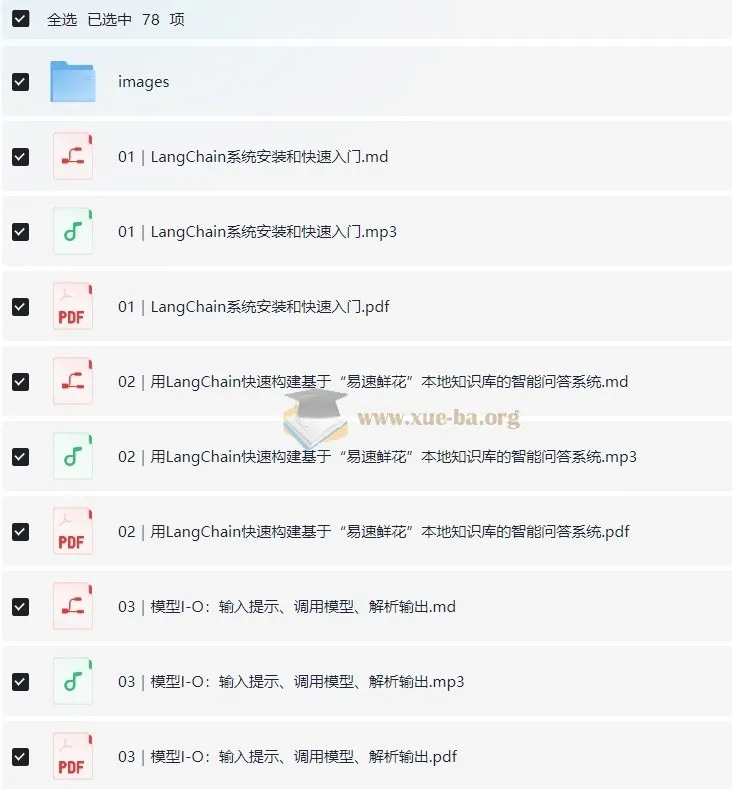 LangChain实战课:从入门到精通大模型应用开发