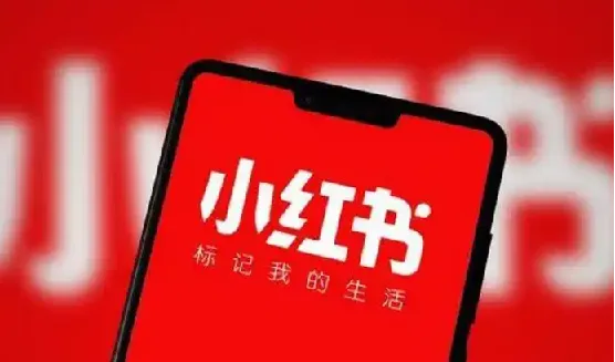 小红书爆款种草视频图文实操课,从0到1跑通内容电商全流程