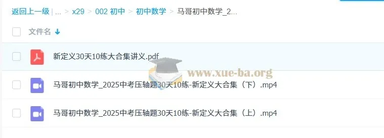 初中数学 2025中考压轴题30天10练 新定义大合集