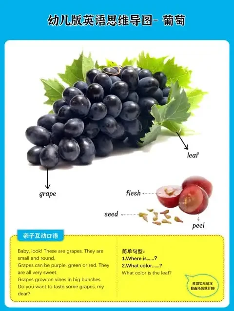少儿英语启蒙必备:动物与果蔬思维导图合集