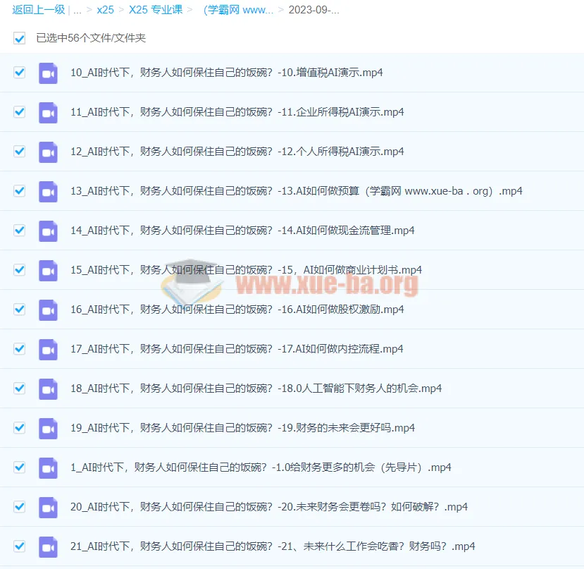 AI+财务人员进阶必修课二合一视频打包课,财务人转型与增值实战指南