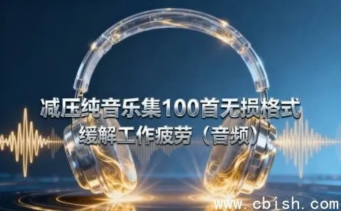 100首无损减压纯音乐合集,舒缓身心缓解工作疲劳