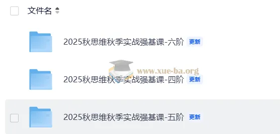 2025秋小学数学思维秋季实战强基课4-6阶合集
