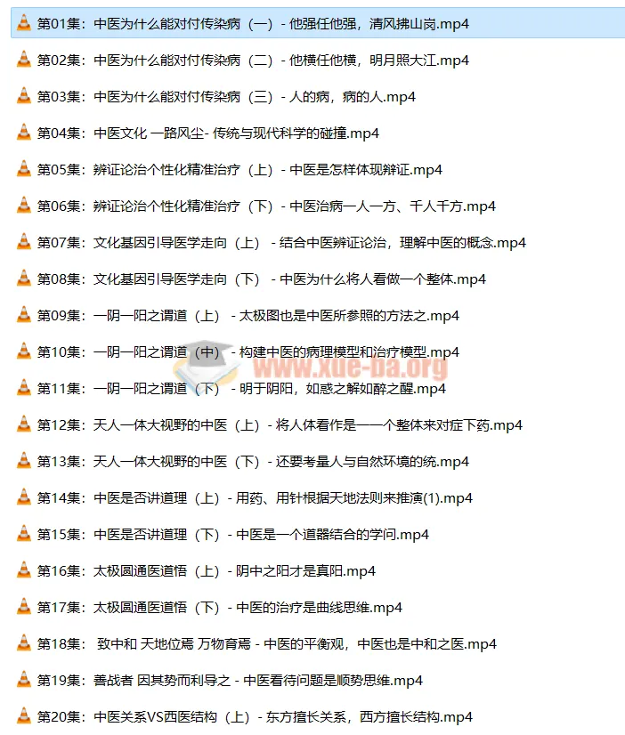 潘毅《闻道中医—推天檤以明医事》全35集视频课程