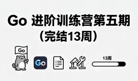 Go进阶训练营第五期(13周完结)对标字节2-2级能力模型